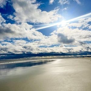 Meet your Posher, Hayley